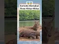Download Lagu KOMODO MEMAKAN RUSA HIDUP-HIDUP. #animals #informasihewan #satwapedia