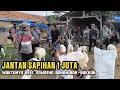 Download Lagu Bakalan jantan 1 juta nego di pasar kambing Sukanegara