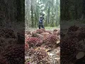 Download Lagu kata kata duda kesepian