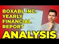 My Takeaway from BOXABL s Complicated Annual Report