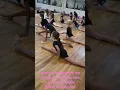 Download Lagu watch the moment my daughter realizes she can do her right split!! lol