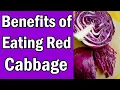 7 Benefits of Eating Red Cabbage They Will Shock You