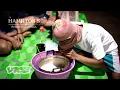 Kratom The Tropical Tree That Gets You High HAMILTON S PHARMACOPEIA