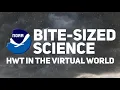 Bite-Sized Science HWT in the Virtual World