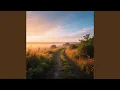 Wild Paths For Tomorrow