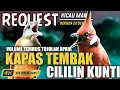 TONJOLAN APIK‼️KOMBINASI PATAS KAPAS TEMBAK VS CILILIN KUNTI | MASTERAN KAPAS TEMBAK SAMBUNG CILILIN
