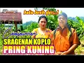 Download Lagu Campursari Sragenan Koplo ~ PRING KUNING || Cover Lagu + Lirik Audio Jernih glerr...!