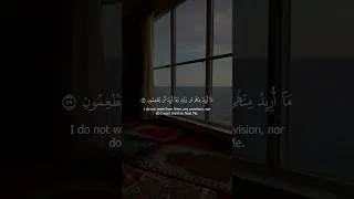 سورة الذاريات الآيات 55 58 تلاوة عبدالله الخلف 
