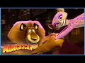 Download Lagu From Zoo to Circus: Best of Madagascar 3! 🎭 | DreamWorks Madagascar