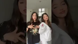 جرا ايه يا افيونه مين المتهمه المجنونه  جرا ايه يا افيونه مين المتهمه المجنونه