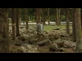 Download Lagu Who I Am (Visualizer)