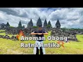 Download Lagu Anoman Obong - Ratna Antika (Monata) Zumba Choreography by RVM
