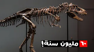 ازاي العلماء بيحددوا عمر الحفريات اللي بيكتشفوها 