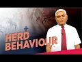 Herd Behavior