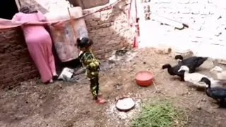 روتين يومي نار بلدي 