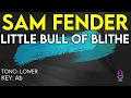 Sam Fender - Little Bull Of Blithe - Karaoke Instrumental - Lower
