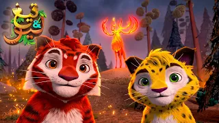 🐯 بث مباشر | أجمل مغامرات ليو وتيغ 🦁