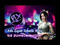 Download Lagu DJ REXZ 2024 | ADA GAJAH DIBALIK BATU | JUNGLE DUTCH
