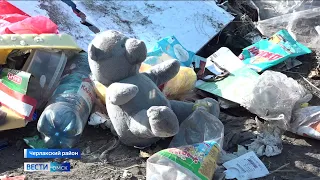 Свалку площадью почти три гектара обнаружили в Черлакском районе