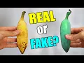 BLUE JAVA BANANA (Ice Cream Banana) : Is There Really a BLUE Banana That Tastes Like ICE CREAM?