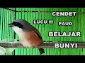 Download Lagu CENDET PAUD BELAJAR BUNYI NGRIWIK