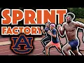 Auburn s Sprint Factory 100m 200m Workouts