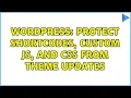 Wordpress Protect shortcodes custom JS and CSS from theme updates 2 Solutions