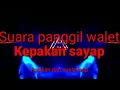 Download Lagu Suara panggil walet || kepakan sayap