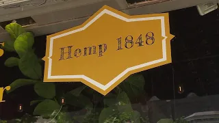 Hemp 1848 investigation highlights uncertainty around contents of THC products