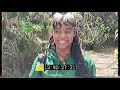 ZENDAMAN - LION （Prod by Gacha Medz）【Official Music Video】