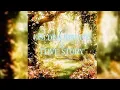 Download Lagu Golden brown X Love story (Slowed\u0026reverb)