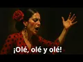 Download Lagu ¡Olé, olé y olé!