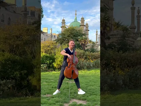 That moment when a little squirrel stops to listen to a cellist playing “Bella Ciao” 🐿️🎻❤️✨