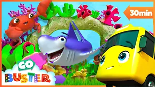 Bebê Tubarão, debaixo do mar 🐟 Go Buster em Português | Desenhos Animados para Crianças