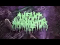 Infant Annihilator - Unholy Gravebirth (Full Guitar Cover)