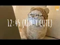 Download Lagu 12:45 (remix cute) - Etham x Aryanto Yabu // (Vietsub + Lyric) Tik Tok Song