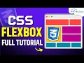 CSS Flexbox Full Tutorial For Beginners Web Development Tutorials