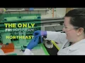 Apply to Binghamton University