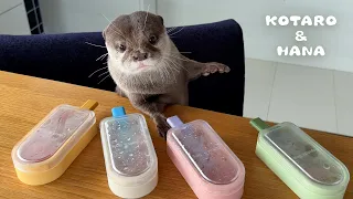カワウソに特製アイス作ってあげたら食べるの下手すぎた　Otter Struggles to Eat Ice Pops