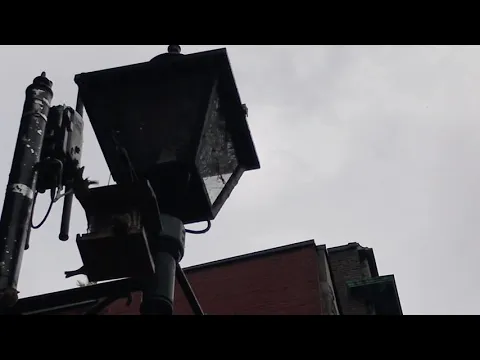 Un día Gris | 11°