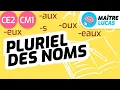 Le pluriel des noms CE2 - CM1