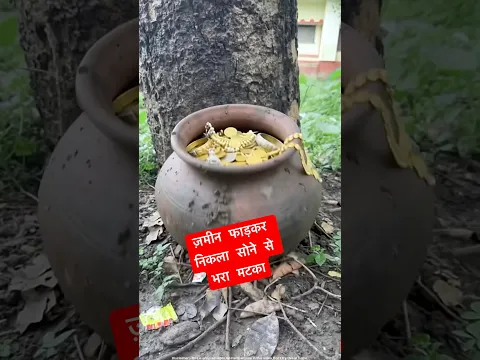 ज़मीन फाड़कर निकला सोना 😱 #Shorts