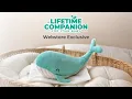OFFSPRING INC Whale Plushie A Lifetime Companion for Your Baby Buddy for Good Sleep