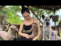 Download Lagu The Lonely Life of a Country Girl.The joy of Finding a Long lost Companion.Dog and Monkey com Lovely