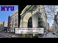 A Week In The Life Of An NYU Grad Student my life in nyc NYU Vlogs