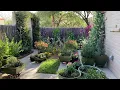 Maury Johnson Oasis Garden Tucson Arizona USA
