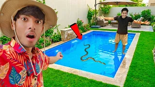 Ye Swimming Pool Maine Khud Banaya! 😳🏊‍♂️