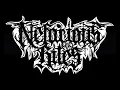 Nefarious Rites - The Rite of 3.4.2021