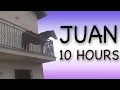 Juan 10 Hours